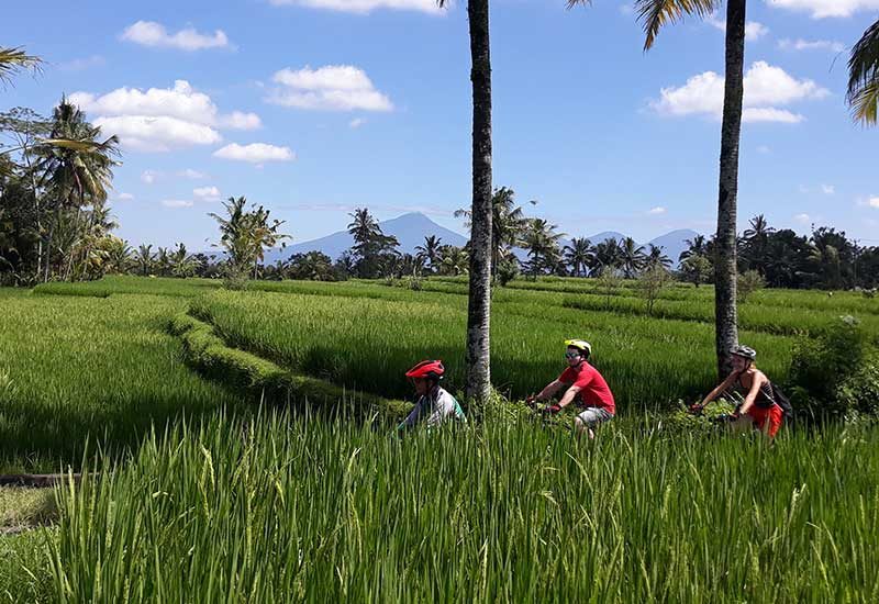 gowesdbali_heritage_back_road_1